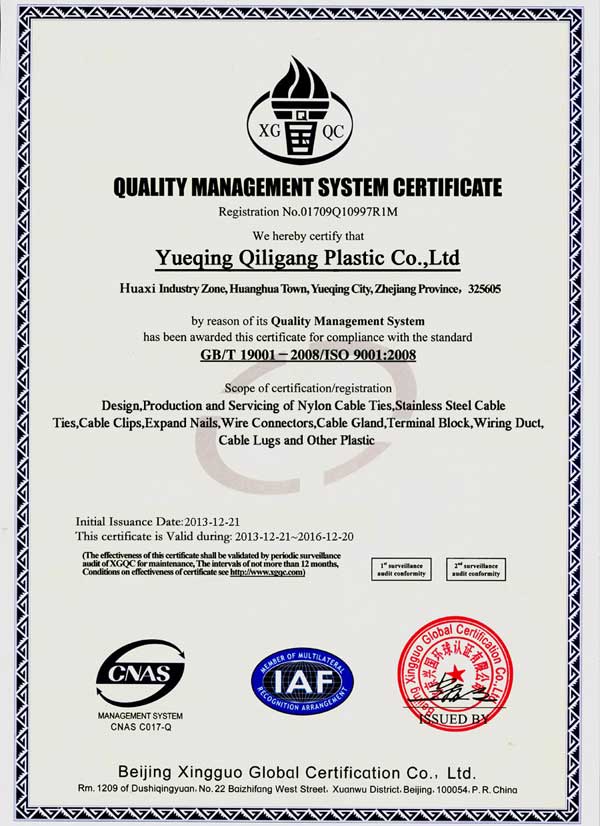 安博 ISO9001 Certificate Qiligang